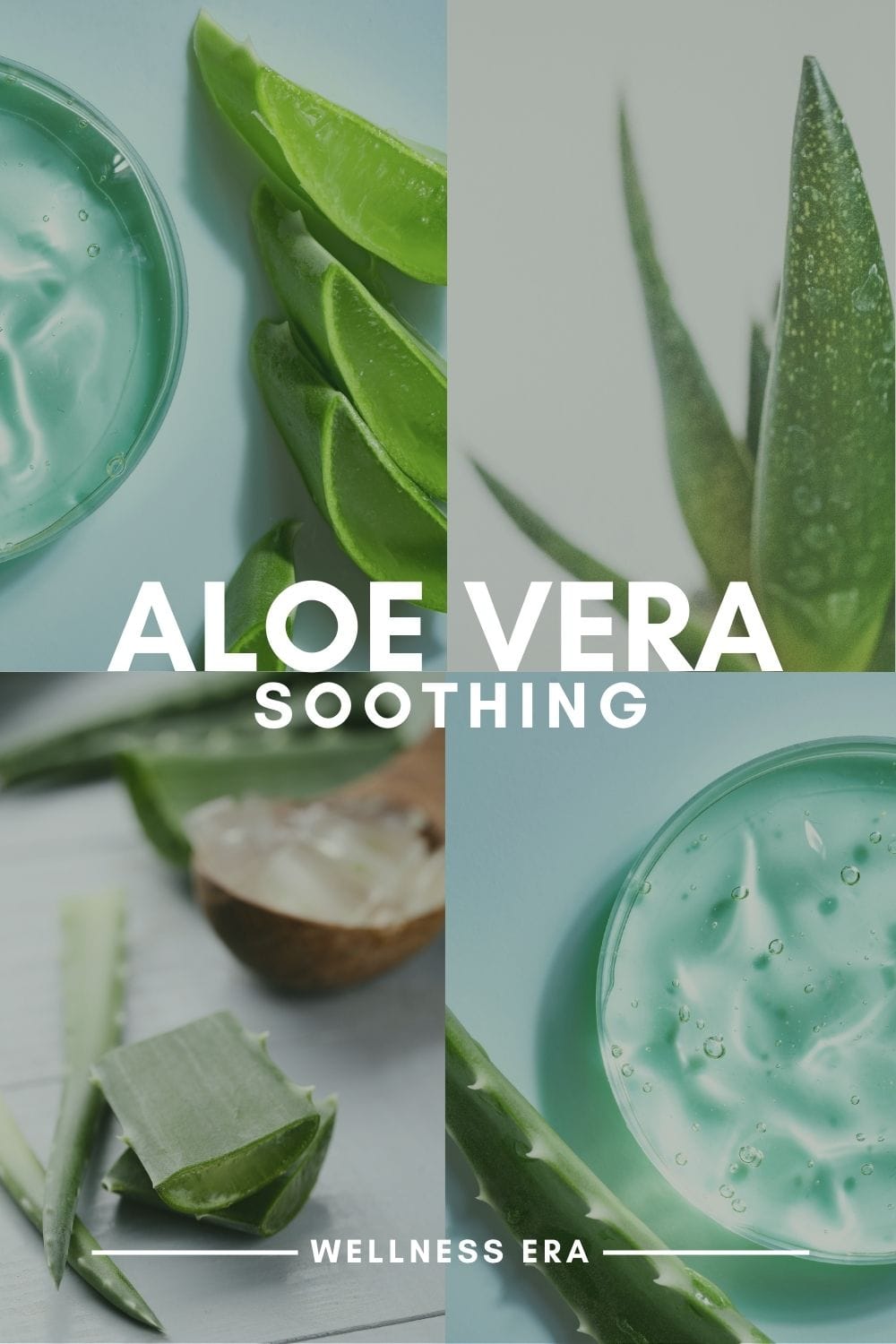 natural skin care ingredient : aloe vera - soothing the skin - wellness era