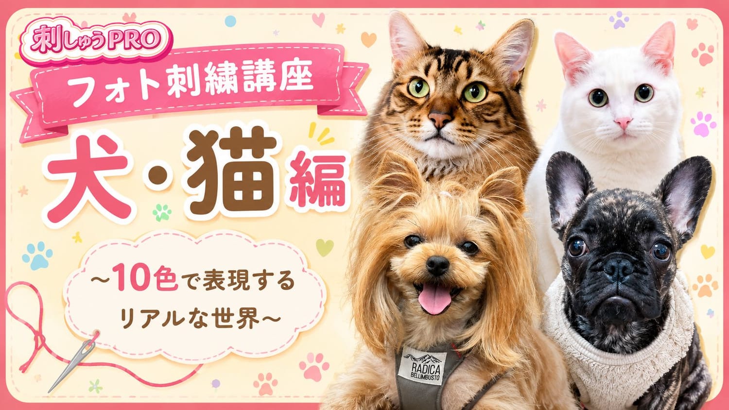丁寧に覚えるマニュアルパンチ①刺しゅうプロ11