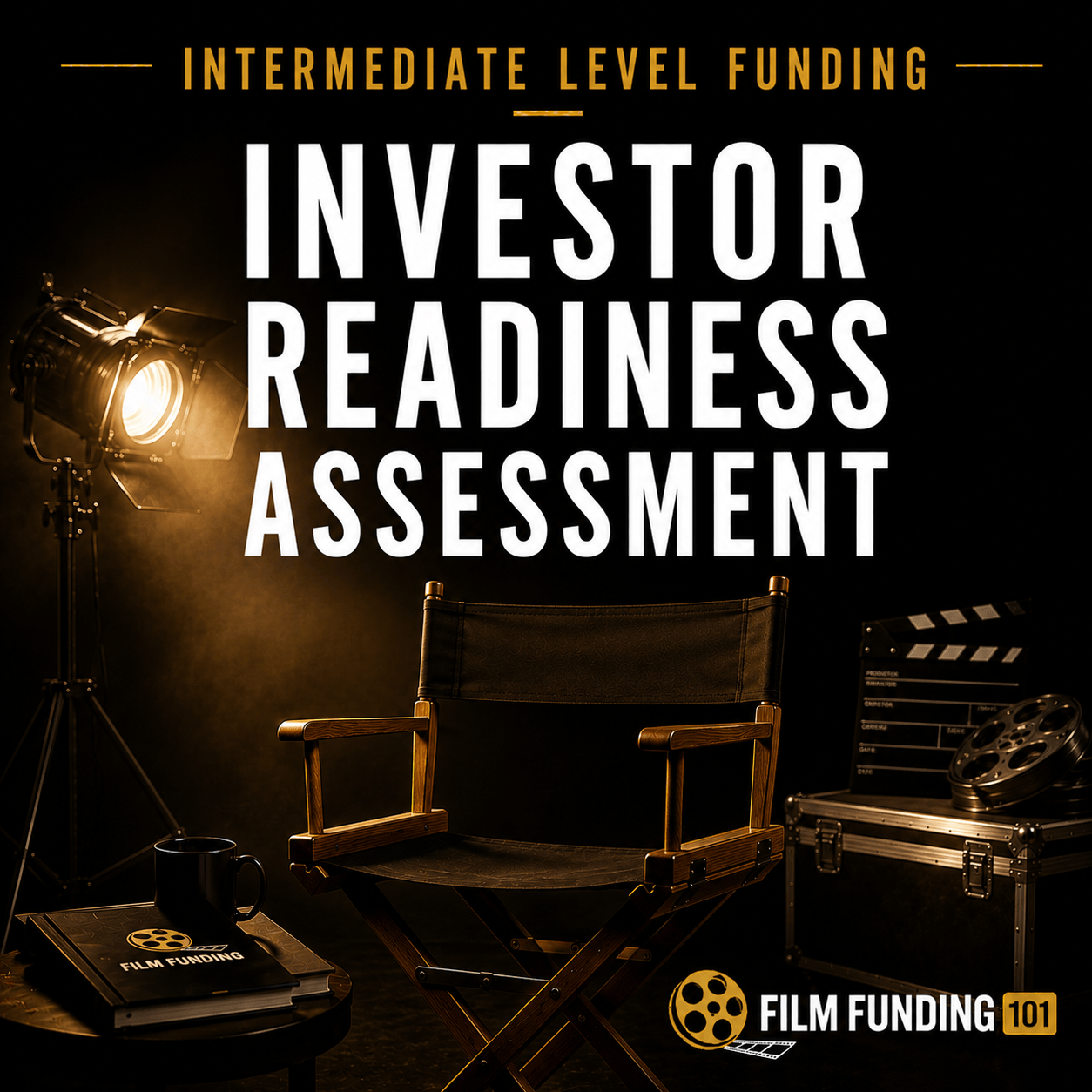 Investor Readiness Assessment