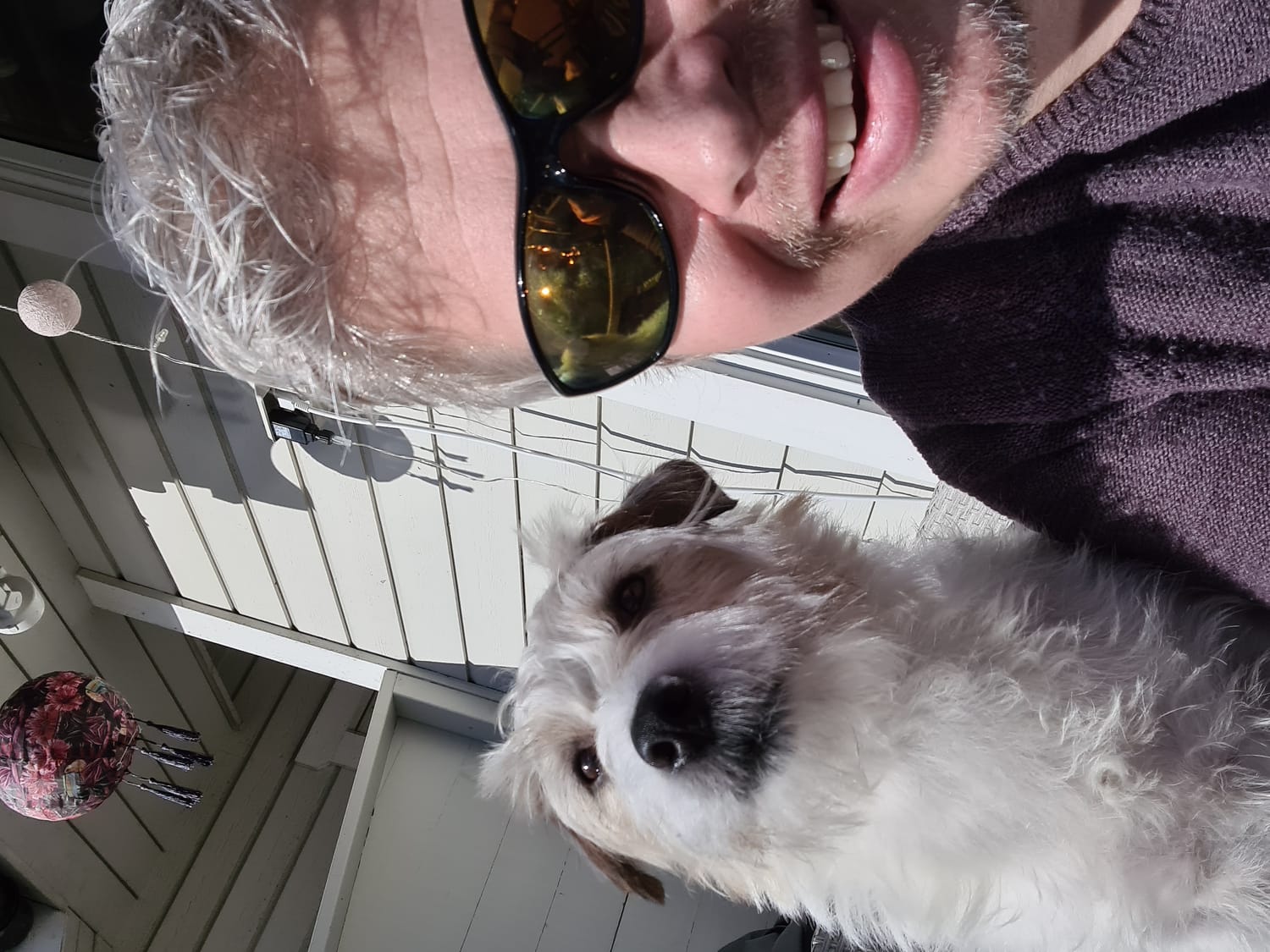 Theo the Jack Russell Terrier and his owner — the author of this guide