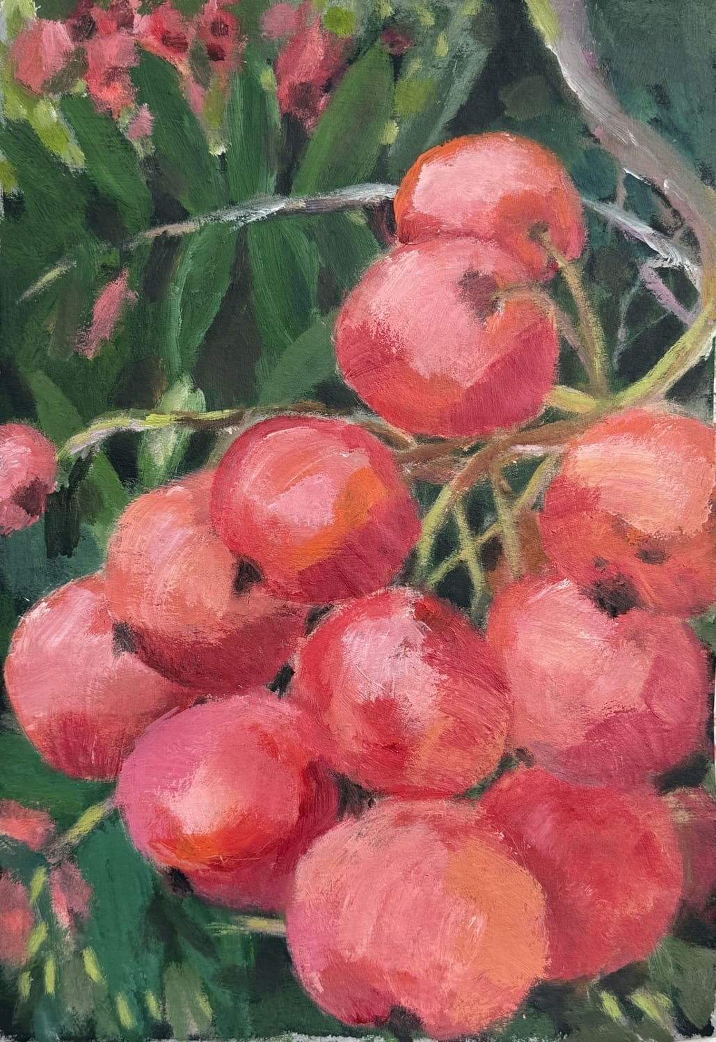 Maalaus, jossa lähikuva pihlajanmarjoista. Pihlajanmarjaterttu suurennettuna, kuva on oranssinpunainen ja vihreä