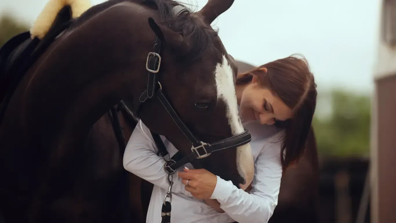turismo equestre em Portugal pode ser uma nova oportunidade de investimento 