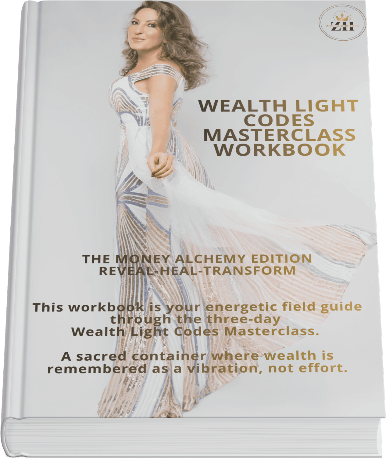 Wealth Light Codes Masterclass Workbook