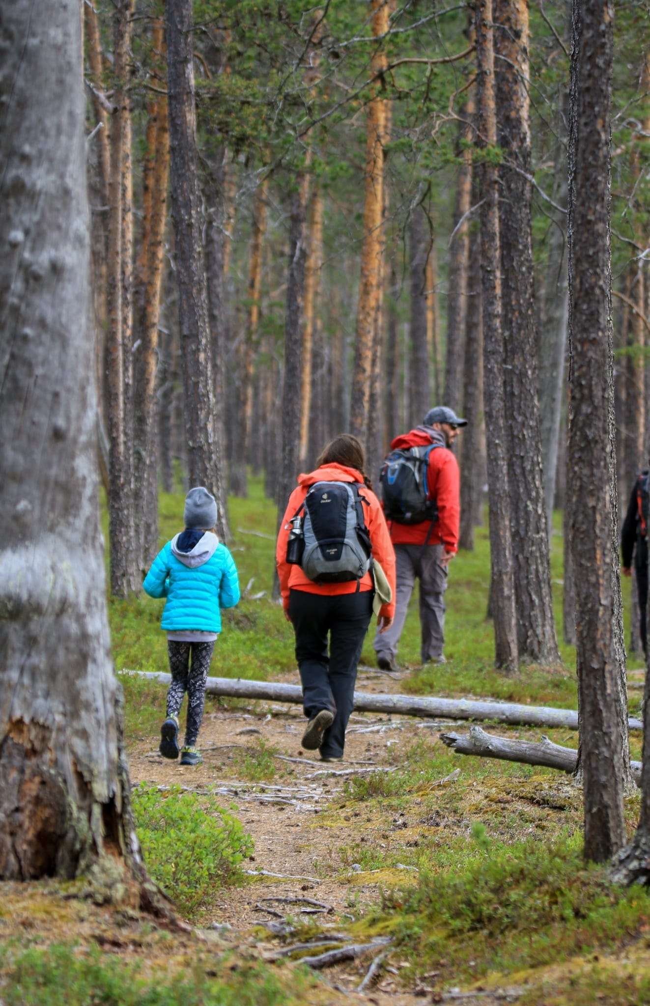 inari ivalo guide private guide activity actvities saariselkä saariselka north lapland arctic northern lights snowshoe snow snowhoeing wilderness fishing