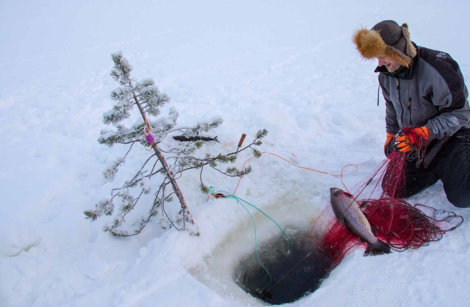 inari ivalo guide private guide activity actvities saariselkä saariselka north lapland arctic northern lights snowshoe snow snowhoeing wilderness fishing