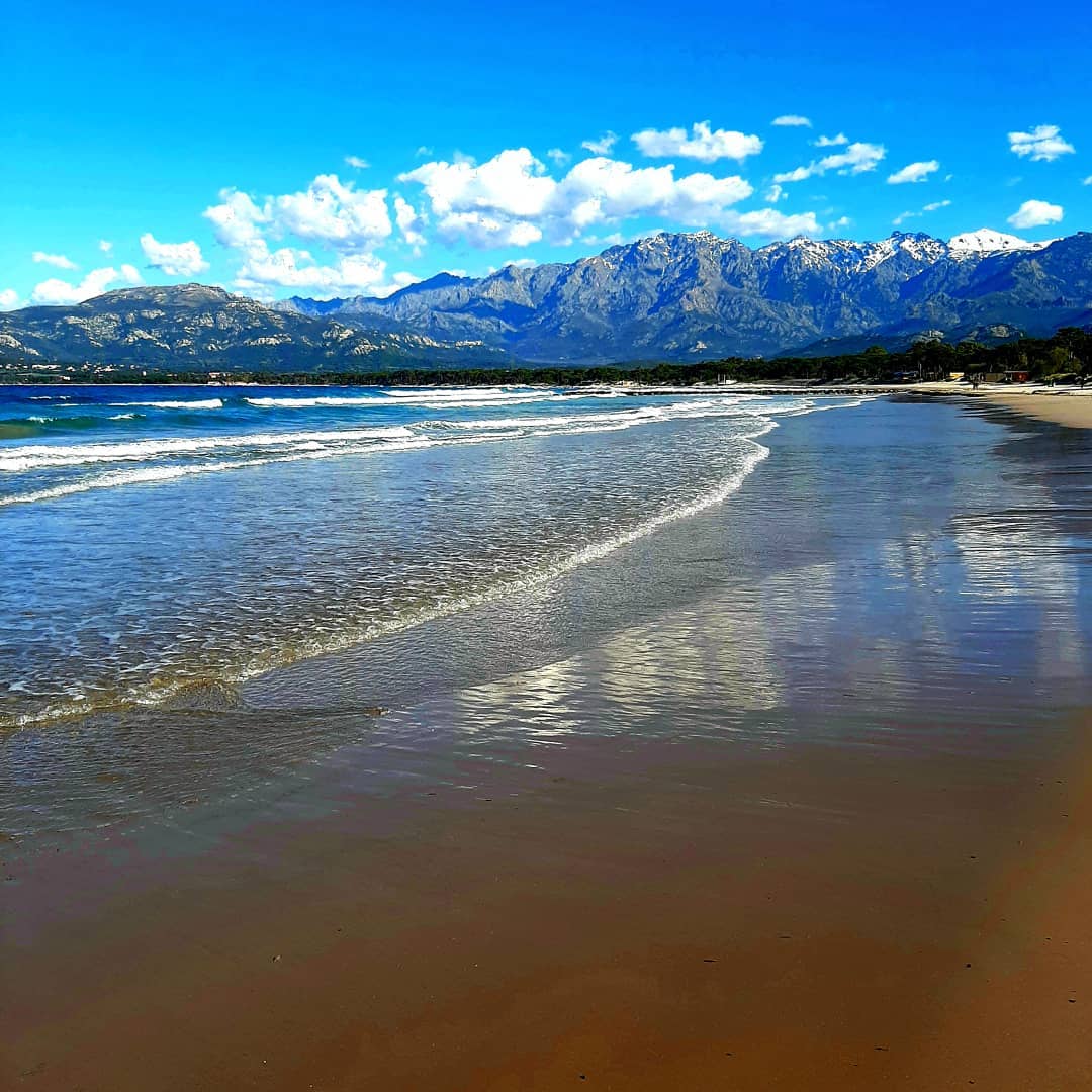 calvi plage 