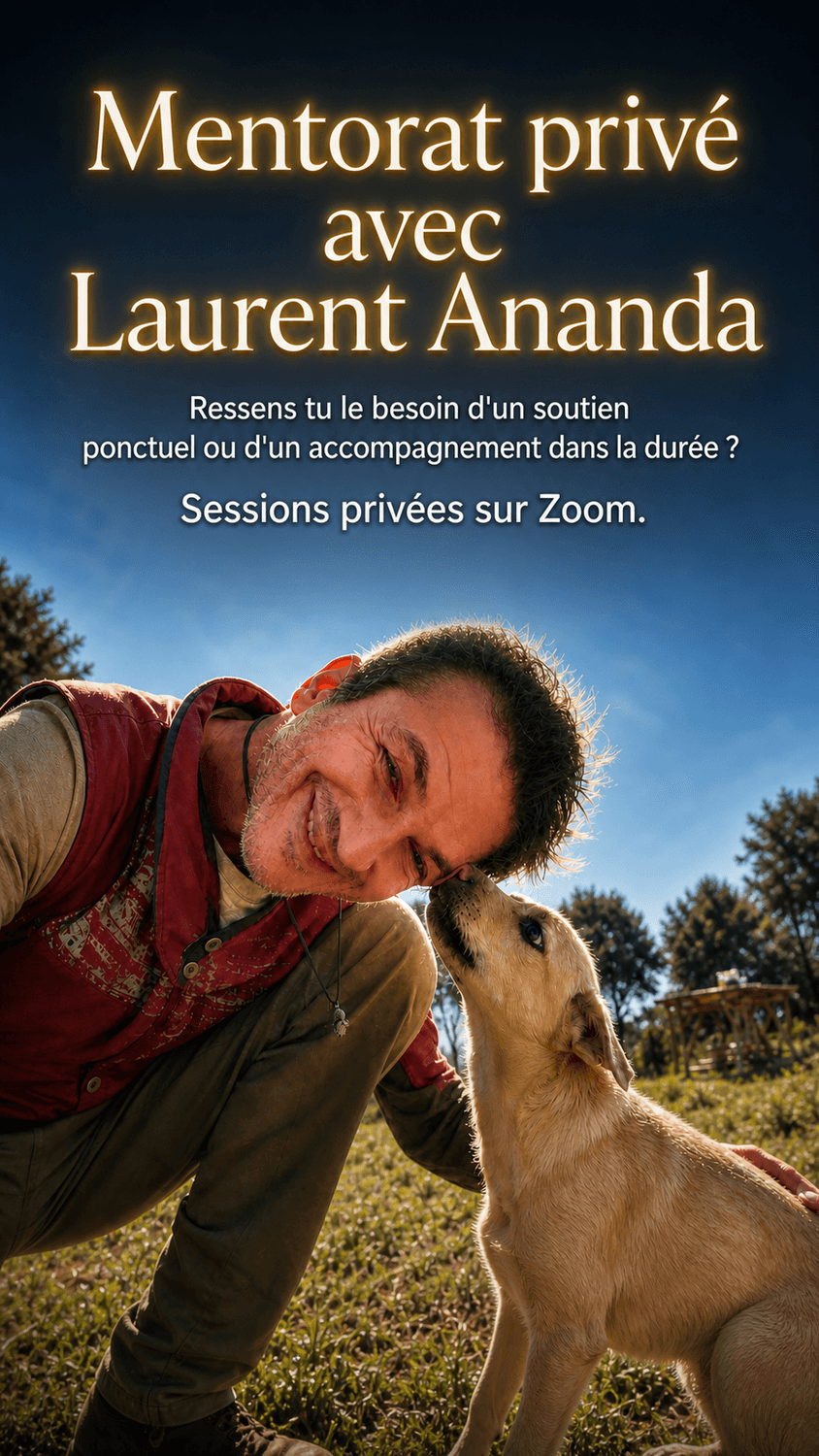 Mentorat privé avec Laurent Ananda (coaching)