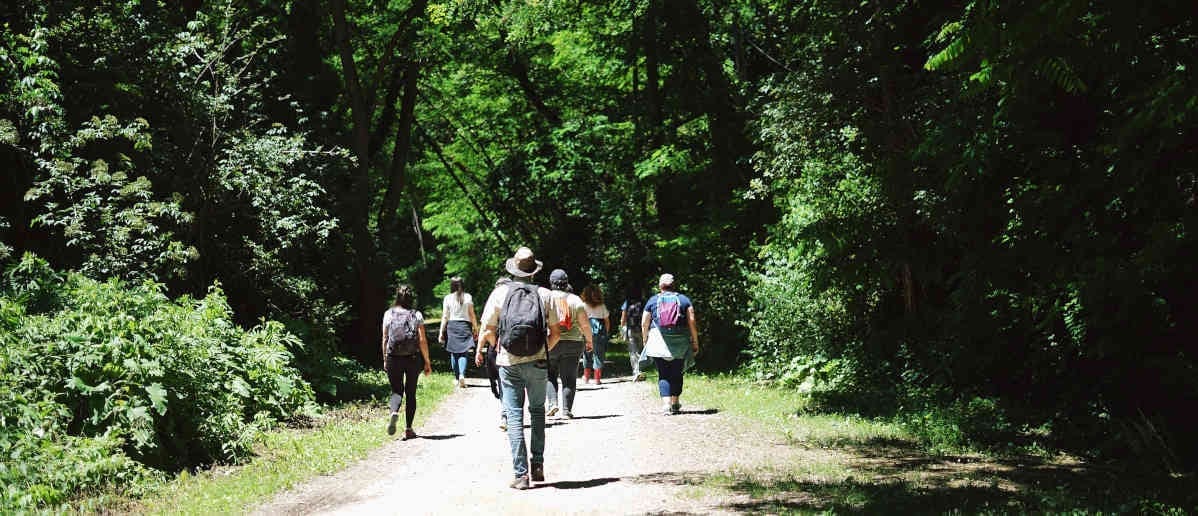 Groupe se promenant en forêt