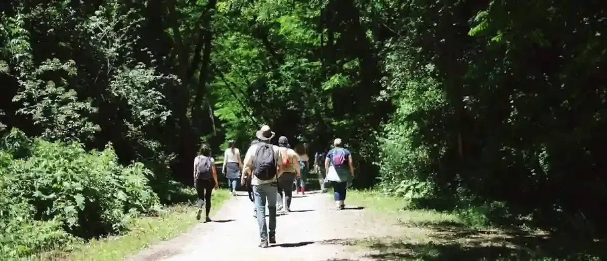 La Voie des Arbres s'ouvre à toi