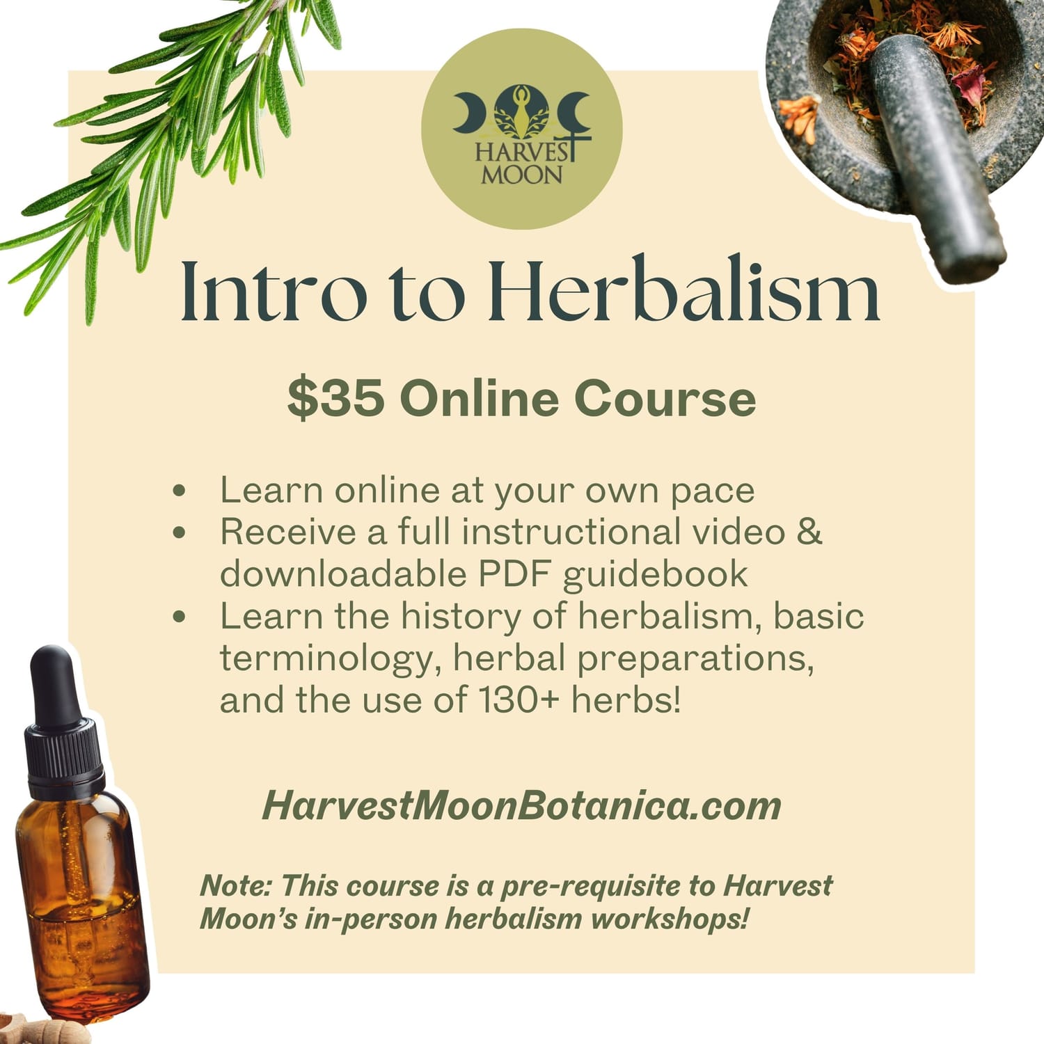 Intro to Herbalism