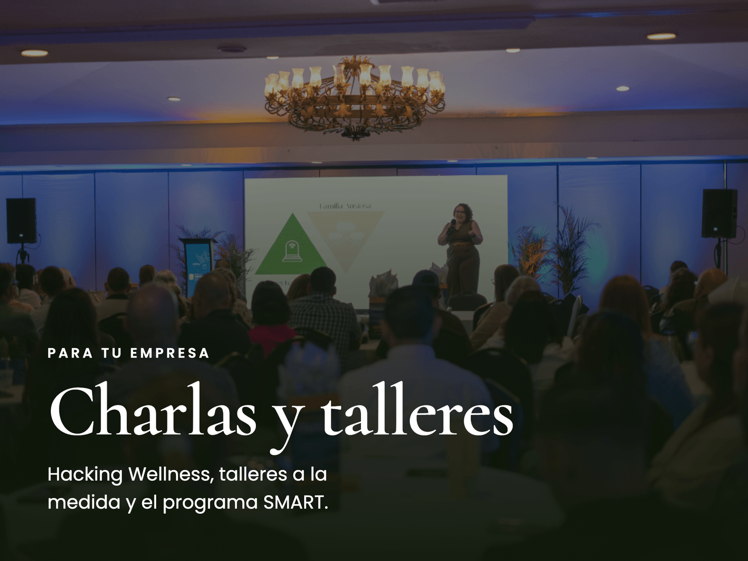 Charlas y talleres para empresas