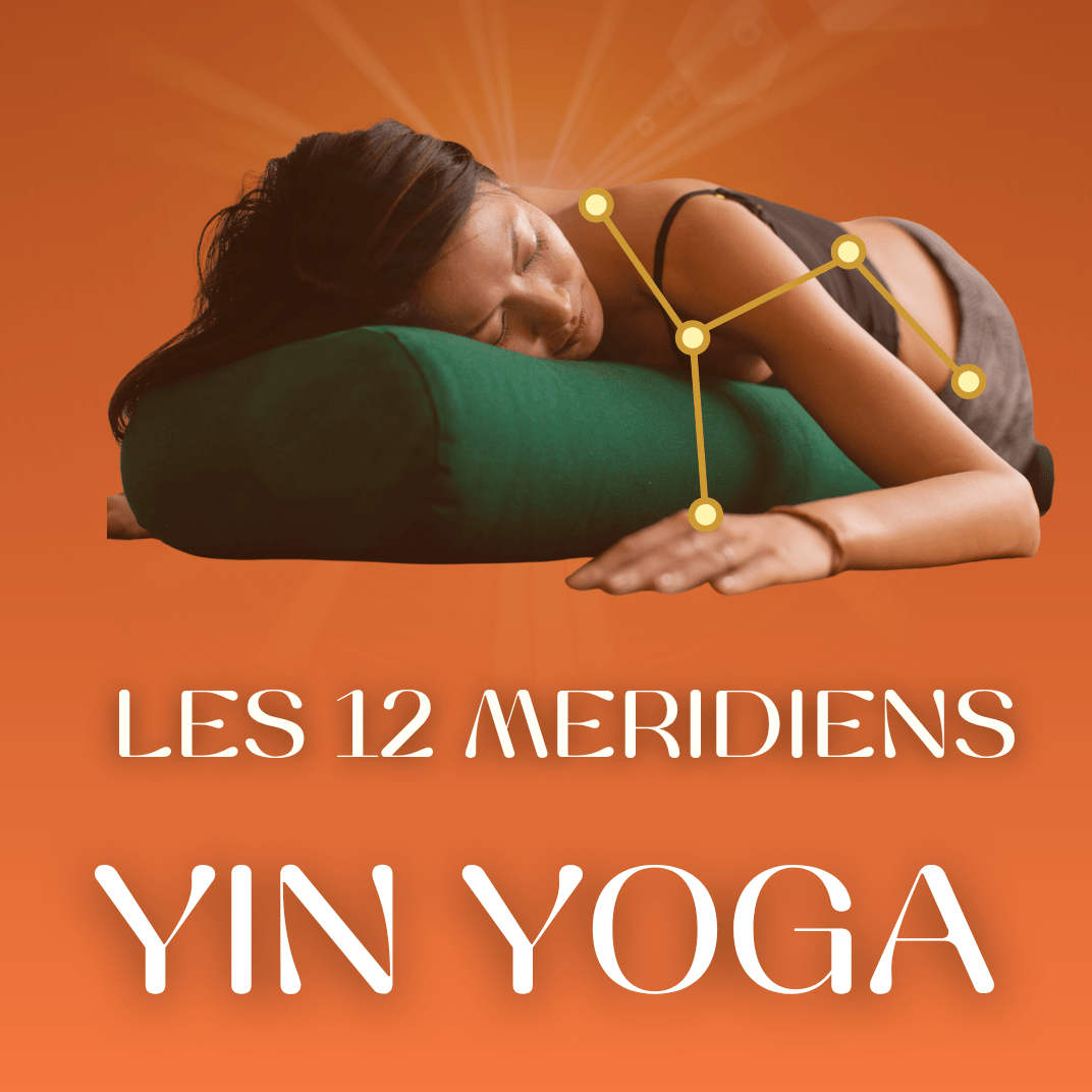 Programme Yin 12 Méridiens