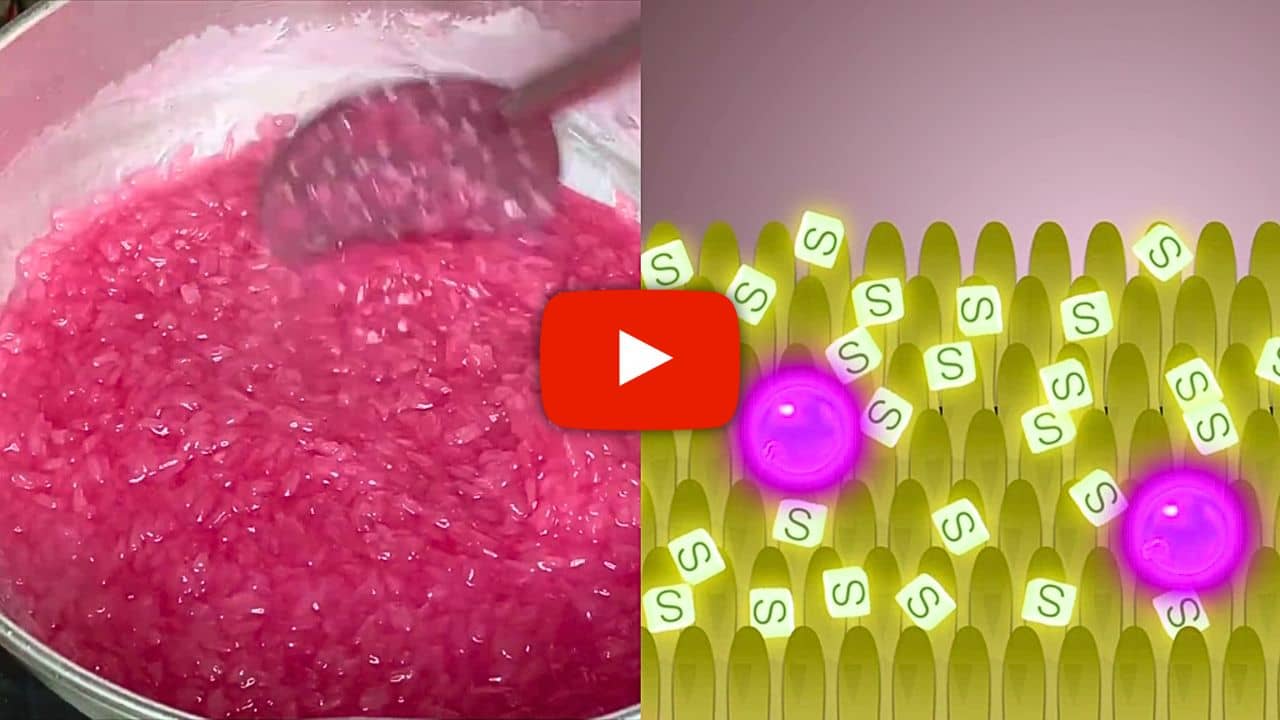 Click Here To Watch The Ritual