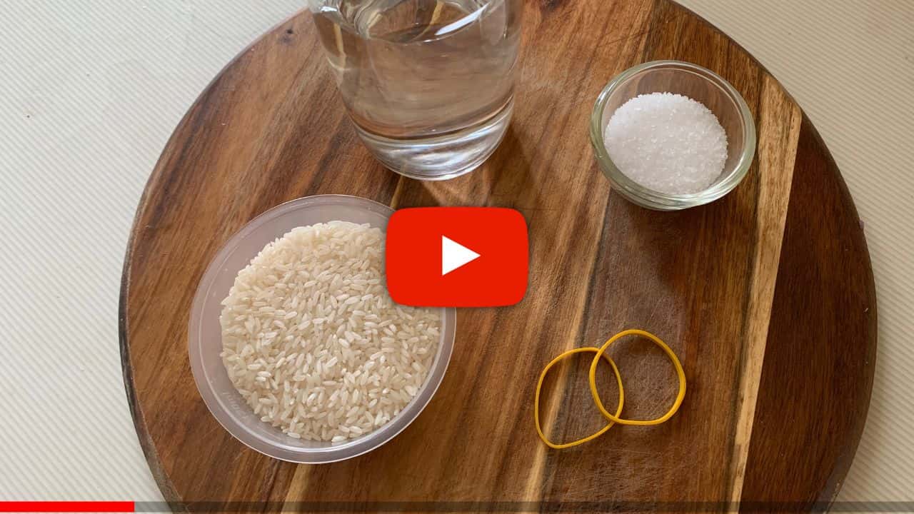 Click Here To Watch The Ritual