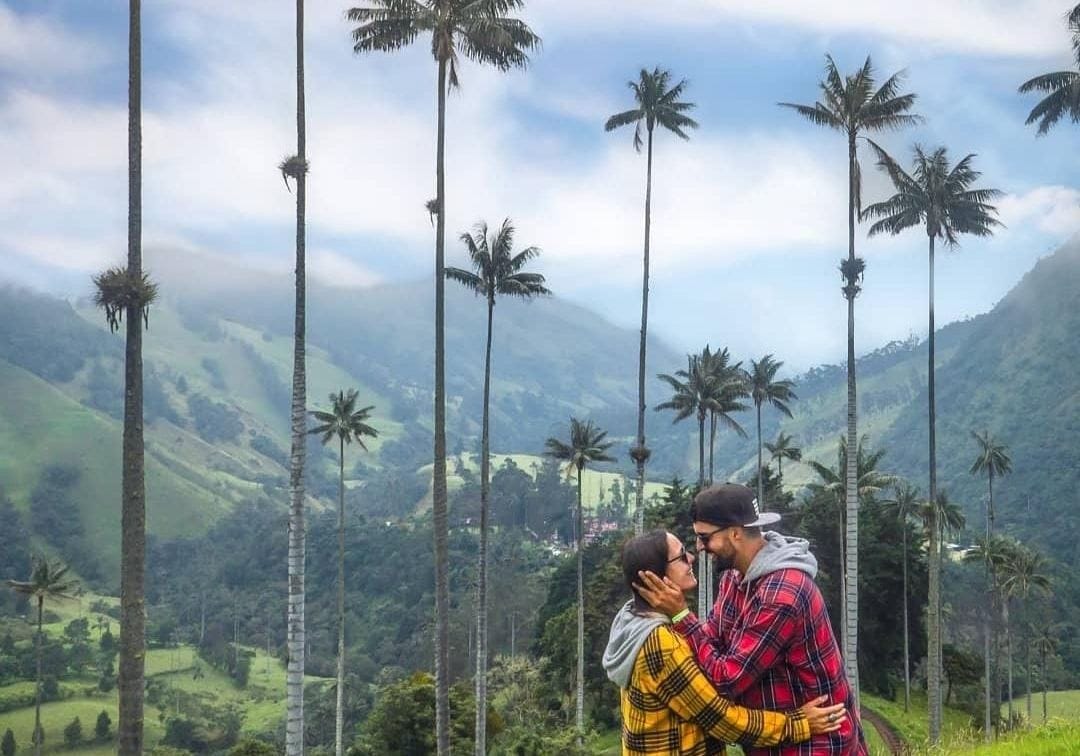 Valle del Cocora, Quindío