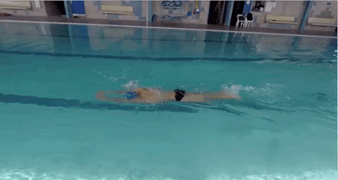 bras crawl nager apprendre natation