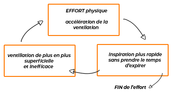 cycle-de-lessoufflement-en-crawl