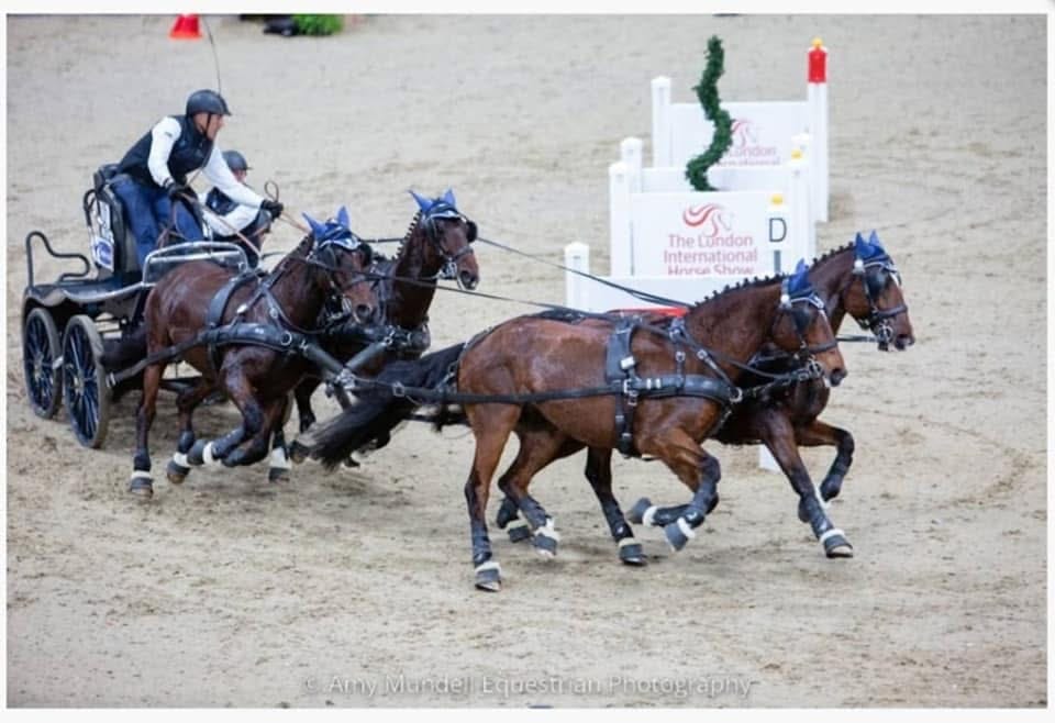 Benjamin Aillaud en concours avec son attelage à quatre chevaux