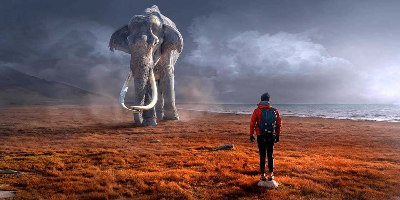 de olifant in de kamer: onbewuste blokkades