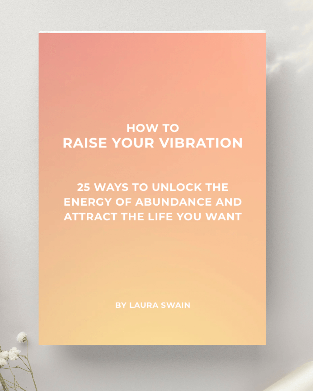 How To Raise Your Vibration Book