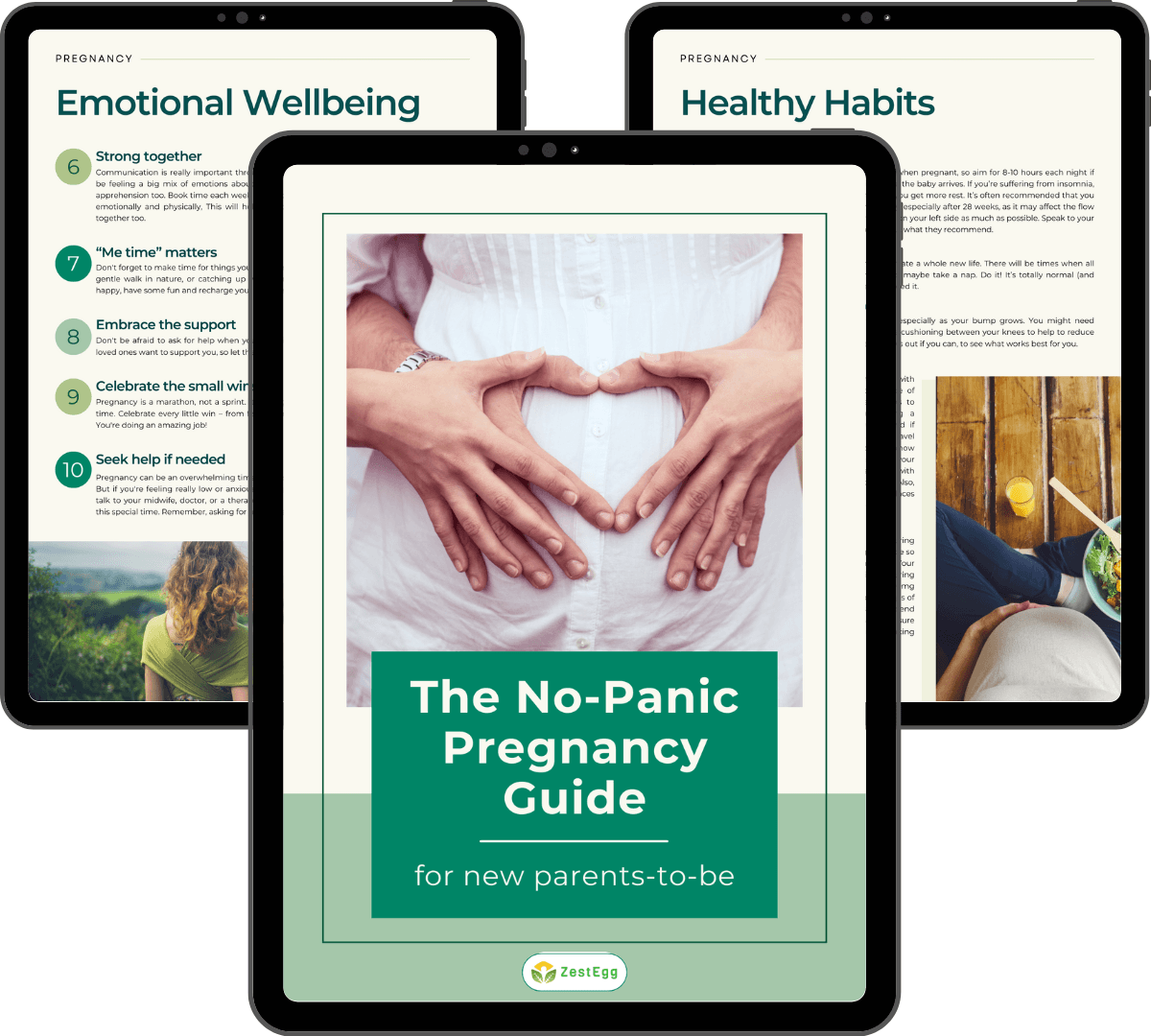 <img alt="npp guide front cover on tablet" src="...">