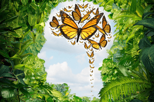 Image symbolisant une liberté d'esprit, avec des papillons qui s'envolent matérialisant une tête 