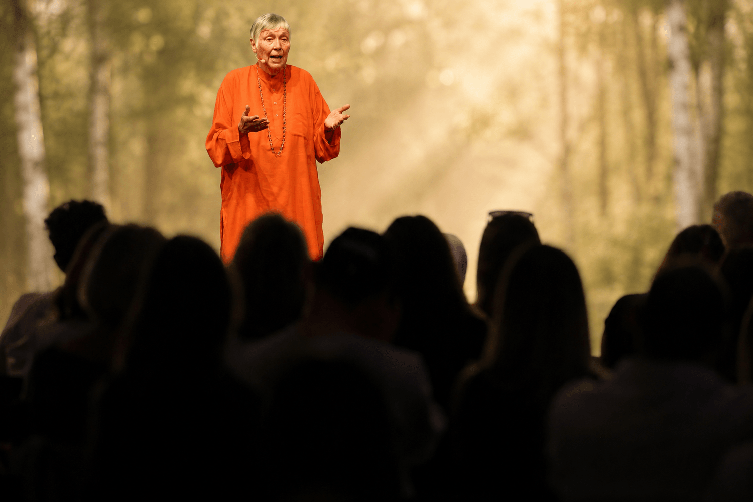 Shanti spricht vor Publikum im Birkenwald-Licht