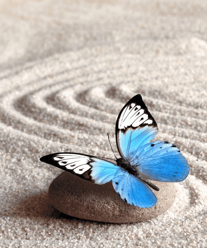 Life Transitions — When the Old Ways Stop Working