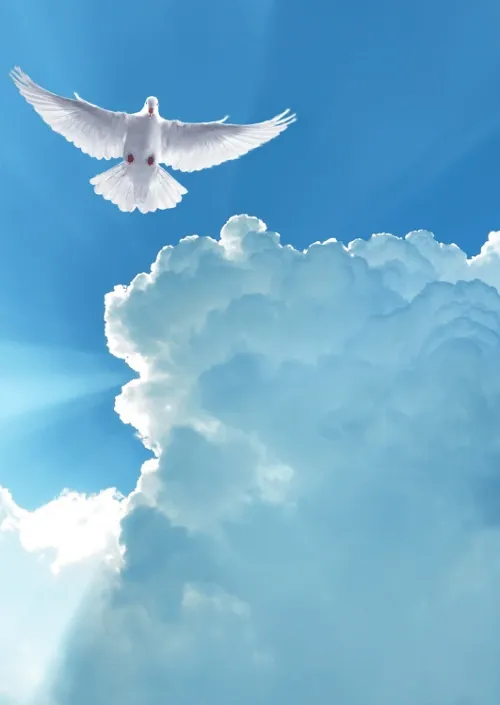 What a Trustworthy Spiritual Director Is Not - New Mindset Pathways