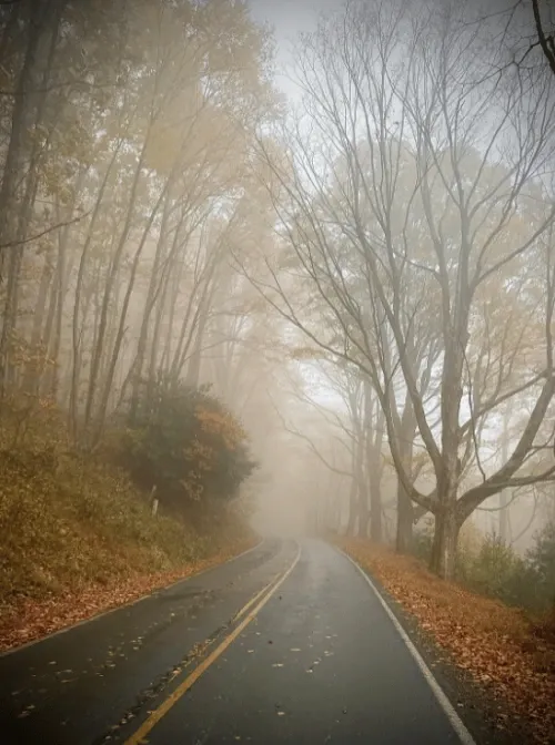 Online Spiritual Direction for Ashville North Carolina Residents - New Mindset Pathways spiritual direction