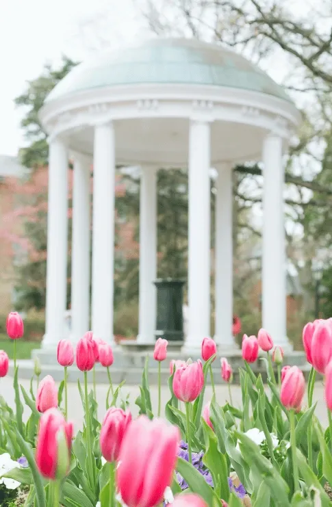 Online Spiritual Direction for Chapel Hill North Carolina Residents - New Mindset Pathways spiritual direction