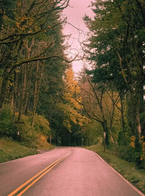 Online Spiritual Direction for Eugene Oregon Residents - New Mindset Pathways spiritual direction
