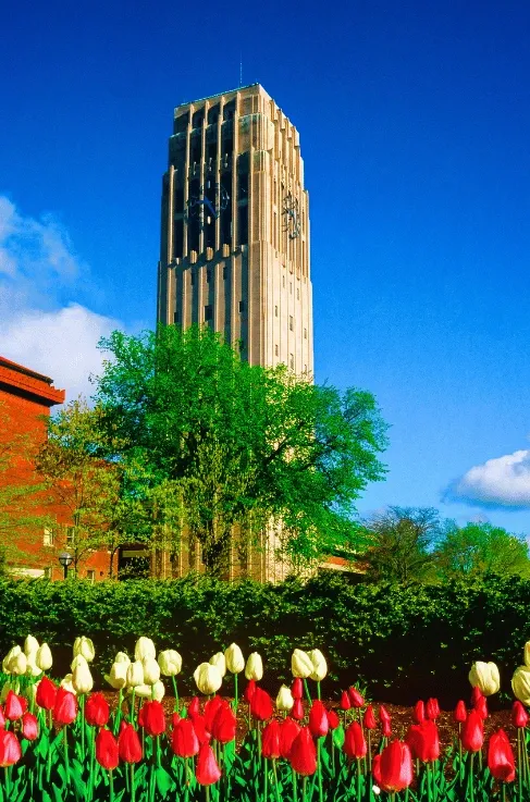 Online Spiritual Direction for Ann Arbor Michigan Residents - New Mindset Pathways spiritual direction