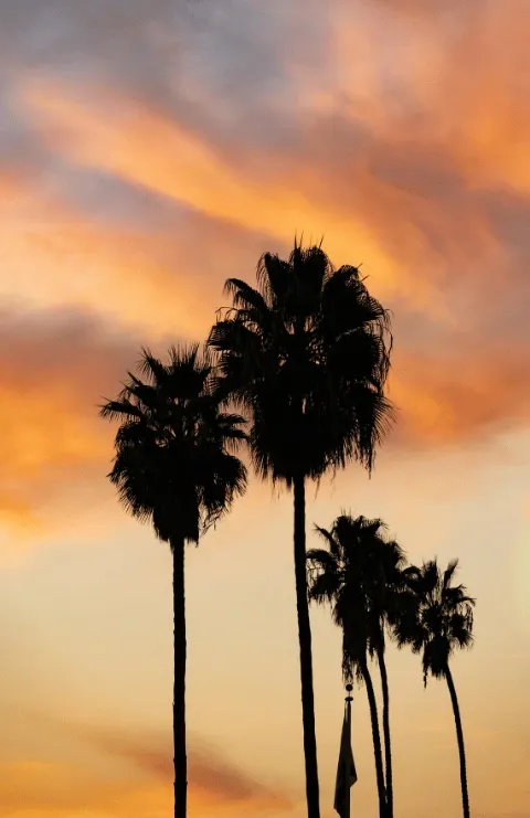 Online Spiritual Direction for Santa Rosa California Residents - New Mindset Pathways spiritual direction