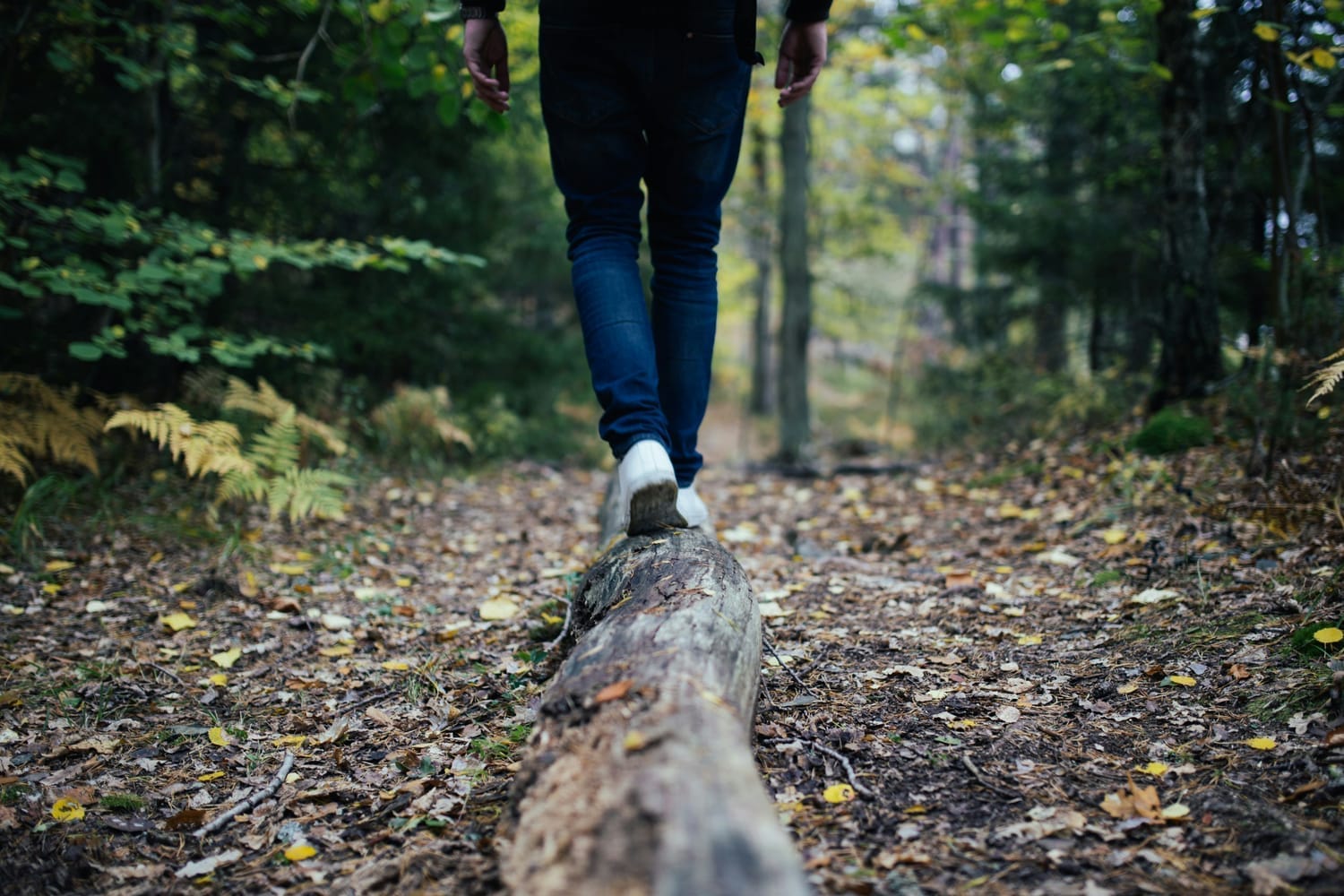 Photo de <a href="https://unsplash.com/fr/@jonflobrant?utm_content=creditCopyText&utm_medium=referral&utm_source=unsplash">Jon Flobrant</a> sur <a href="https://unsplash.com/fr/photos/homme-marchant-sur-la-foret-_r19nfvS3wY?utm_content=creditCopyText&utm_medium=referral&utm_source=unsplash">Unsplash</a>       