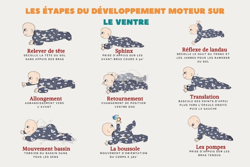 Cartes Étapes Bébé - 24 Cartes Illustrées De La Naissance à 1 An - Souvenirs Photos Mensuels - Cadeau Naissance