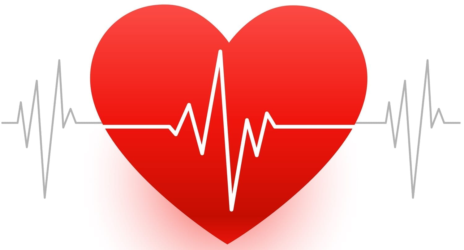 Een vrij leven sinds 2022 - Solevida