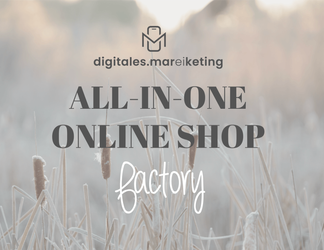 Der Online-Kurse All-in-one Online Shop factory. Dein (kostenloser) Shop ohne Transaktionsgebühren.