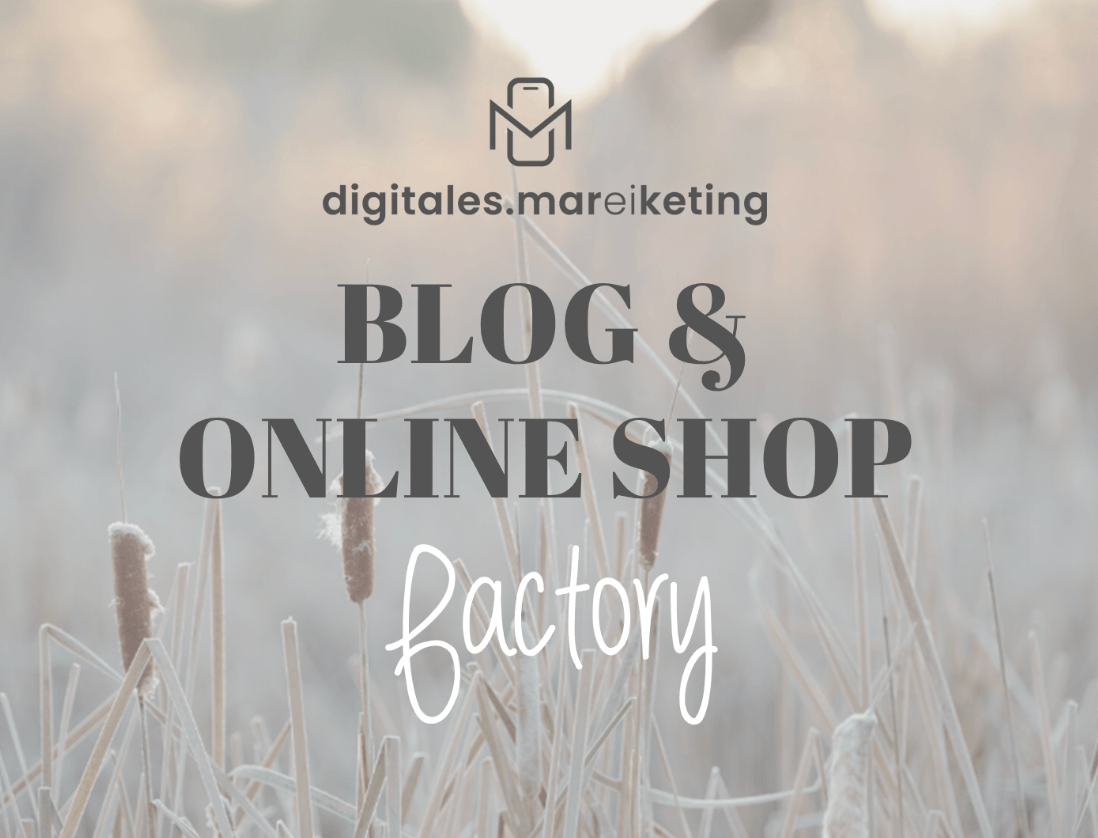 BOS Factory Kurs – umfassendes Programm für den Aufbau von Blog und Online-Shop. Perfekt für Einsteiger:innen, die sich ein eigenes Online-Business mit strategischer Sichtbarkeit, SEO und digitalen Produkten aufbauen möchten.