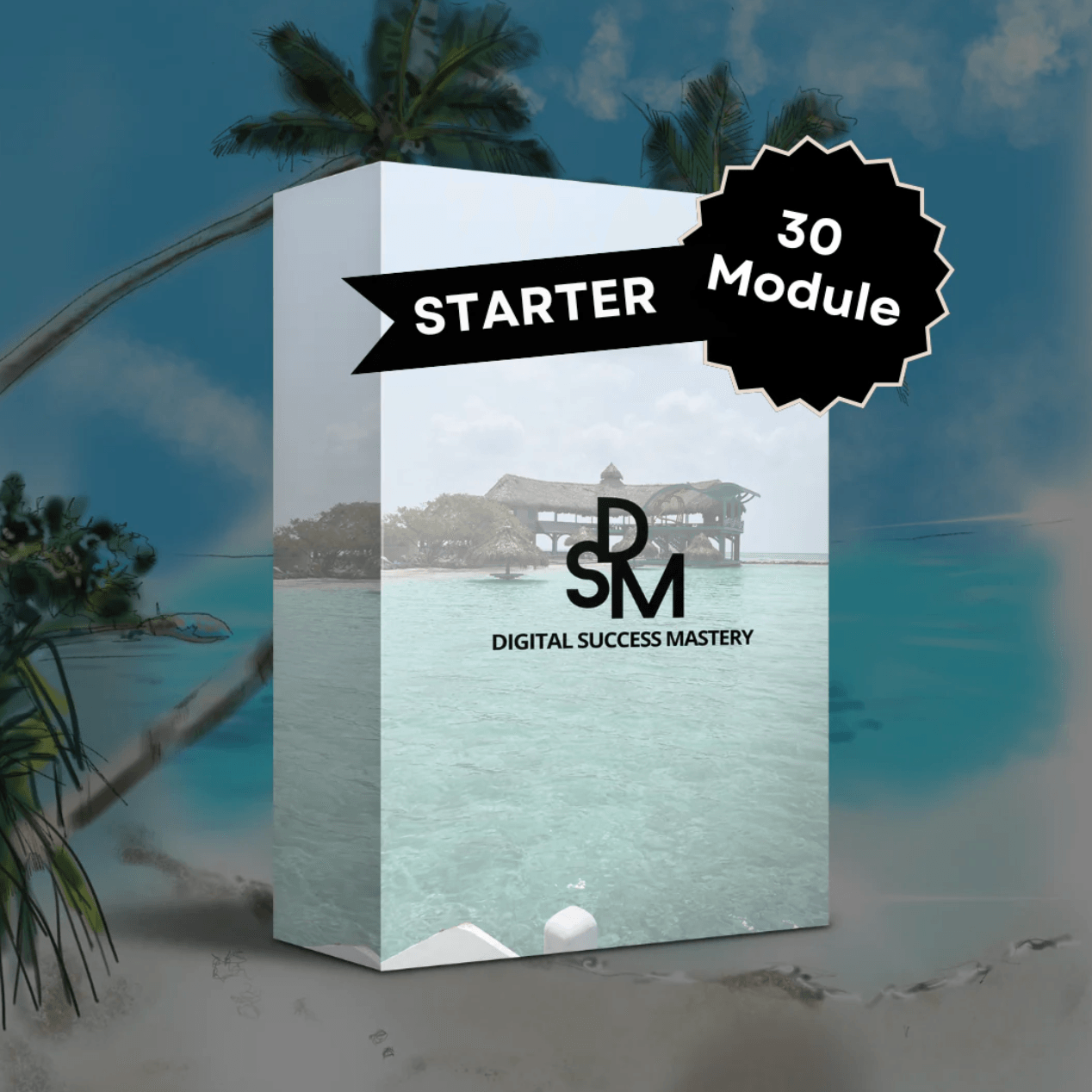 Digital Success Mastery (DSM) - der Starterkurs mit 30 Modulen.