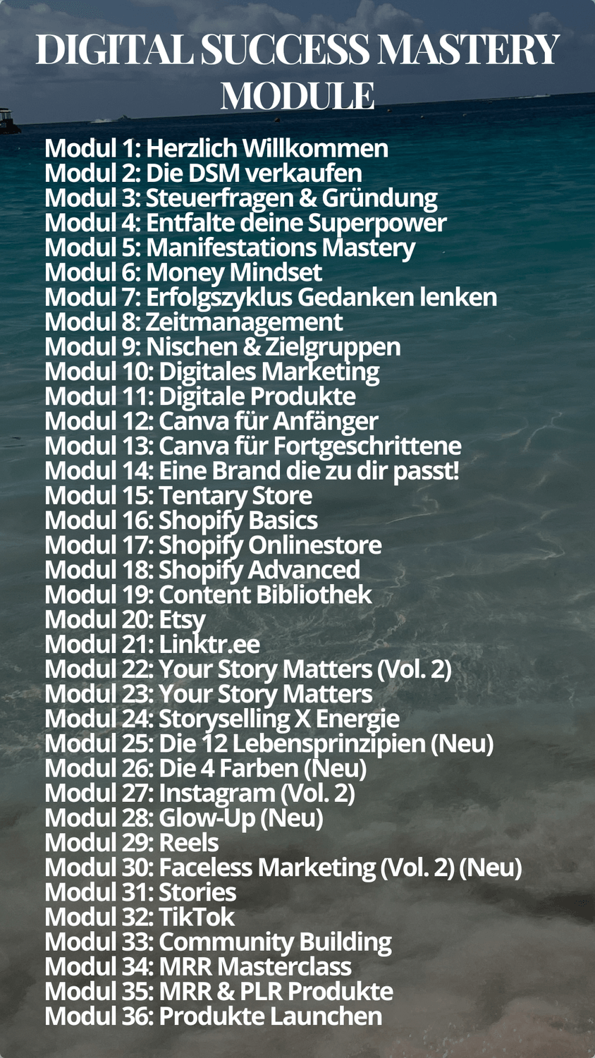 Modulübersicht der Digital Success Mastery