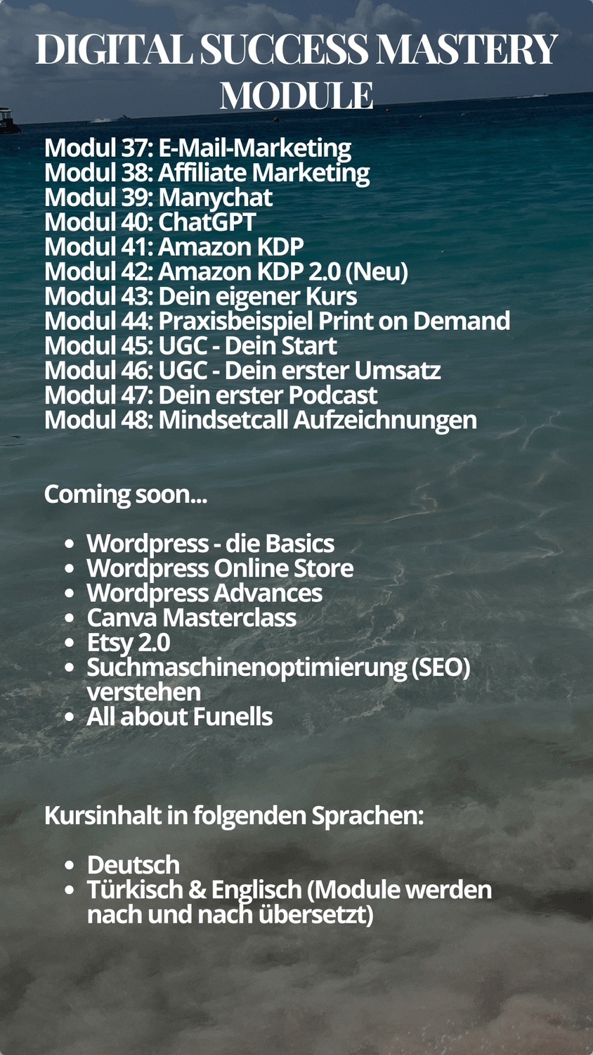 Modulübersicht des Digital Success Mastery (DSM)