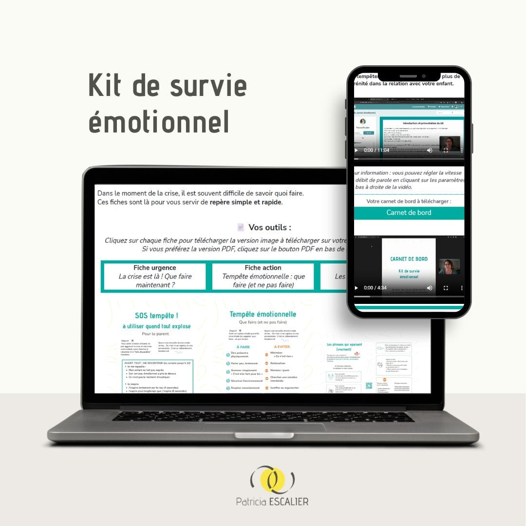 Kit de survie émotionnel face aux crises des enfants hpi tdah hypersensibles