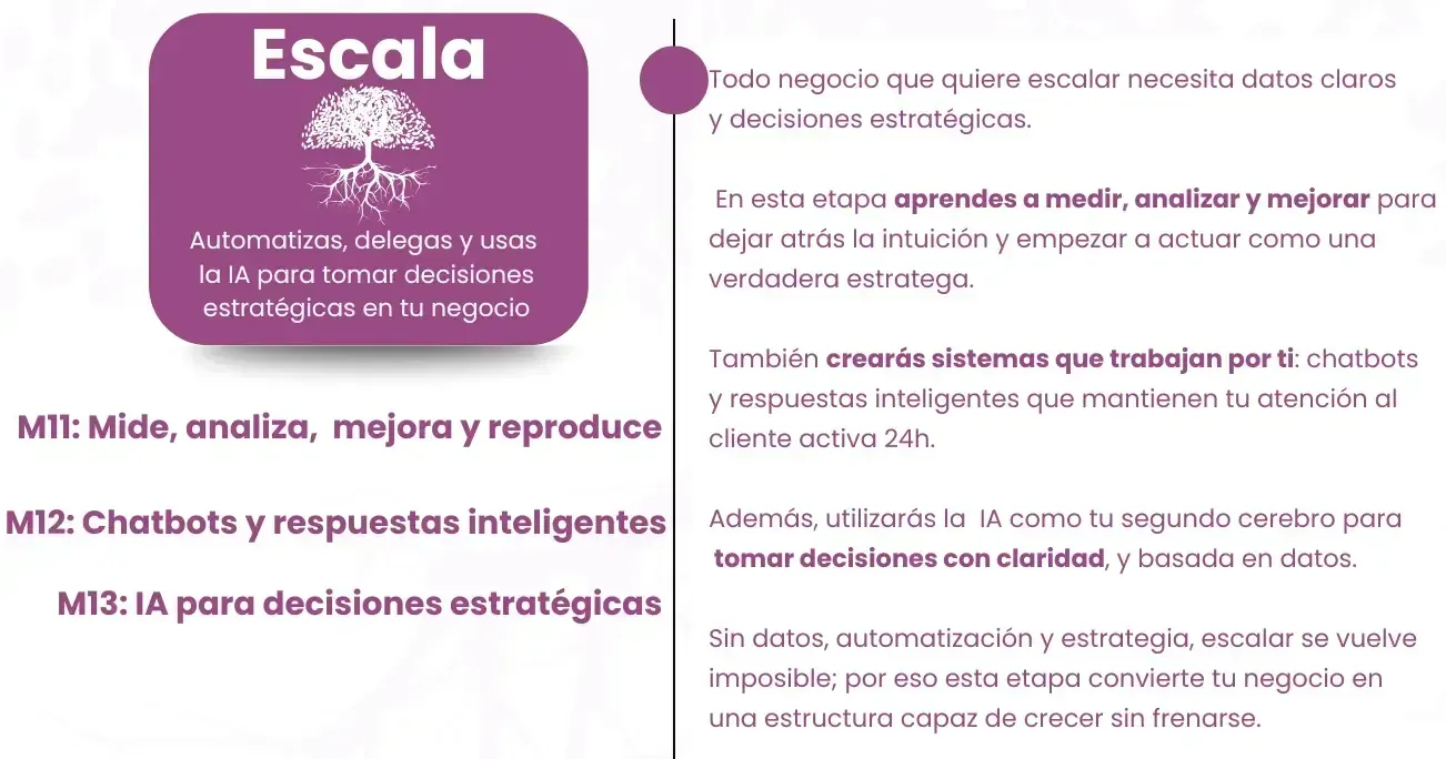 Etapa Escala