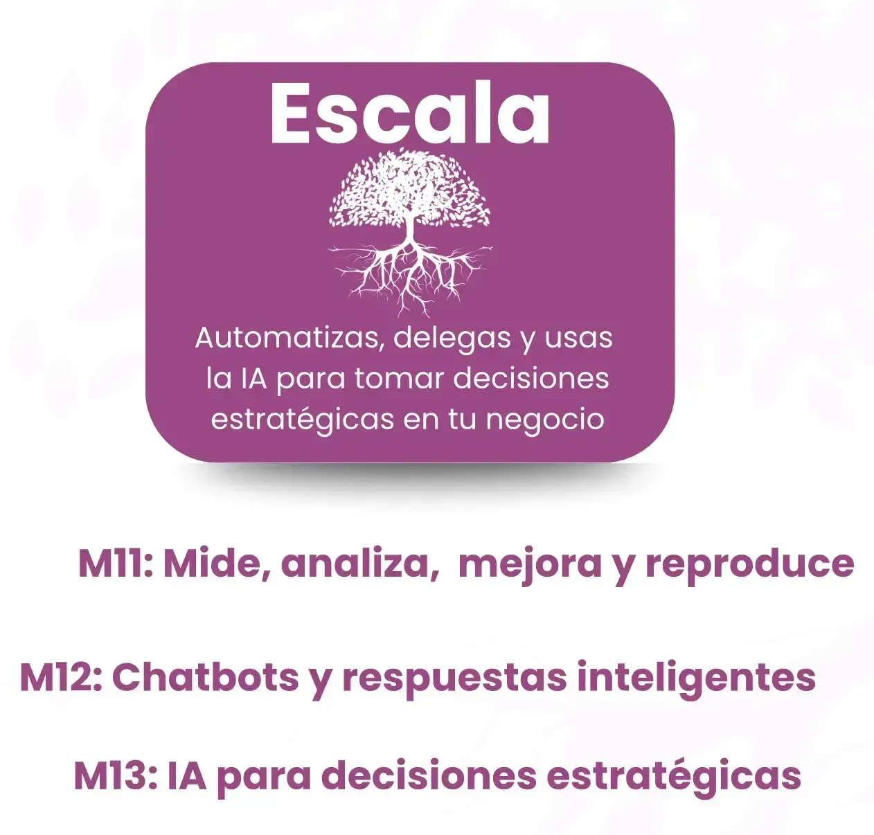 Etapa Escala