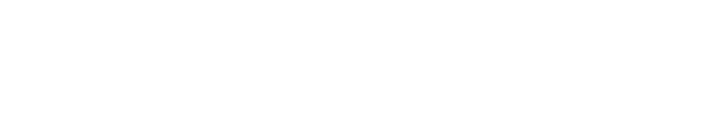 Bisonty