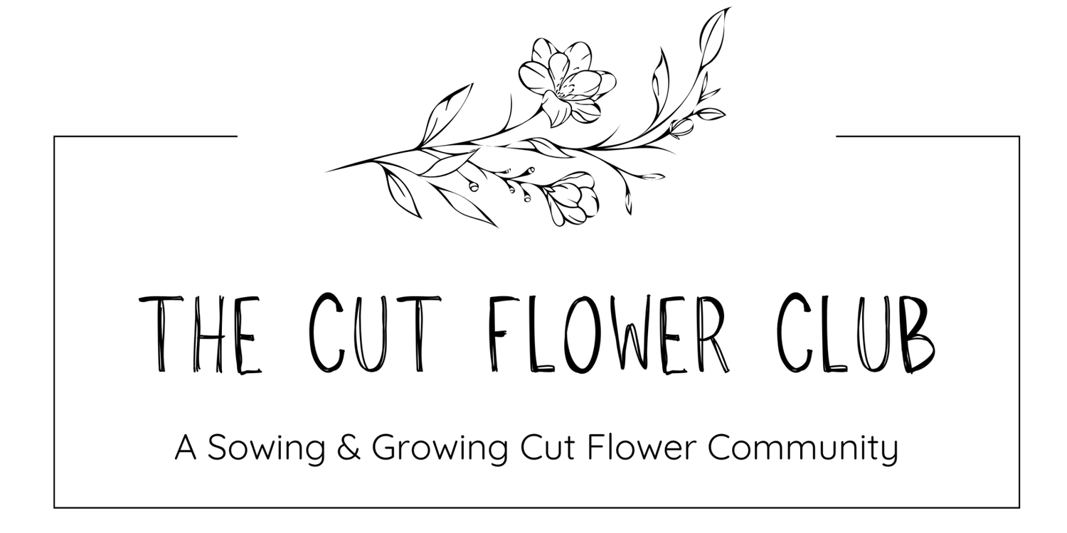 The cut flower club logo