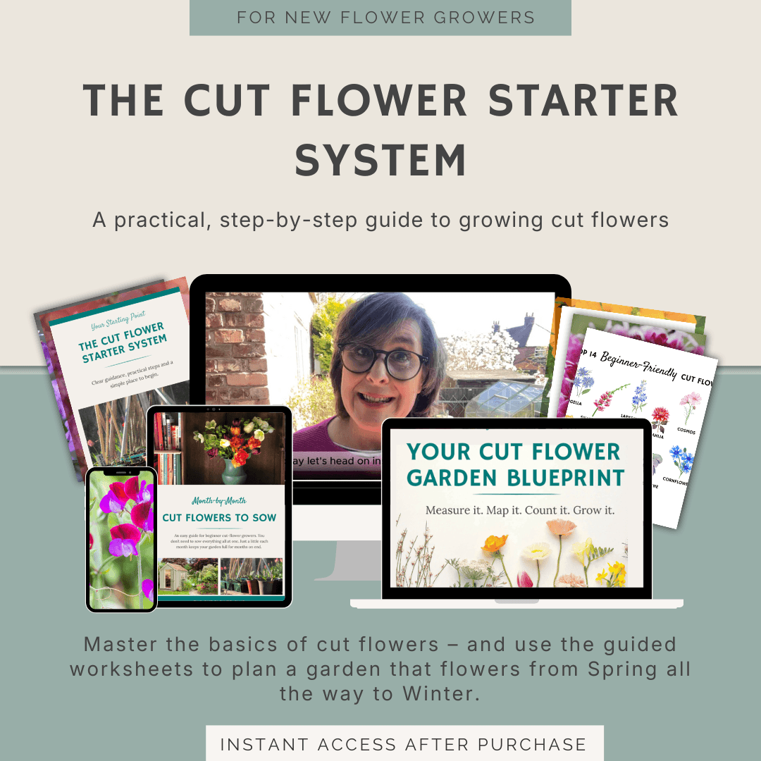The Cut Flower Startre System