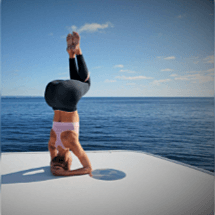 100 Batidos (Zumos) Saludables