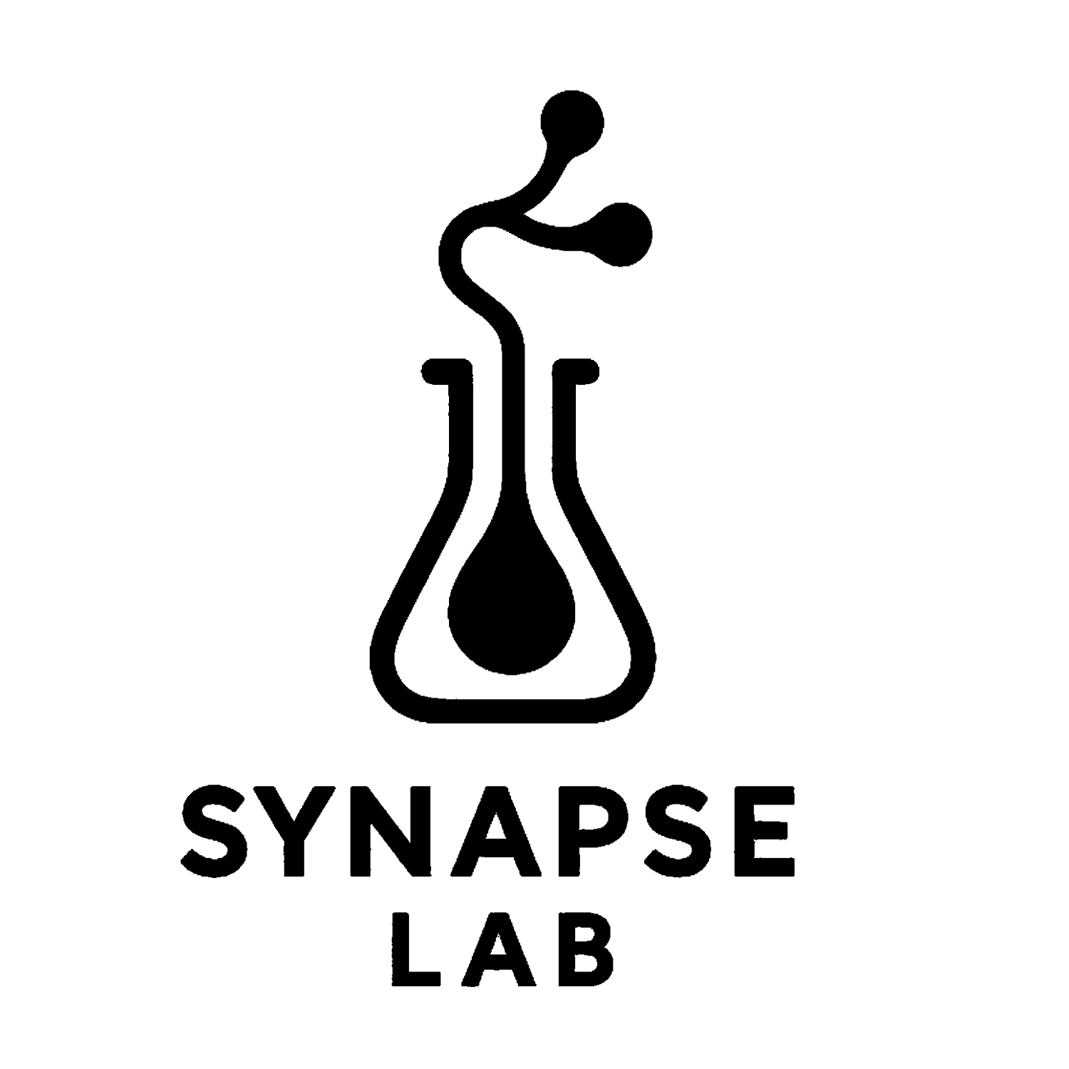 Synapse Lab